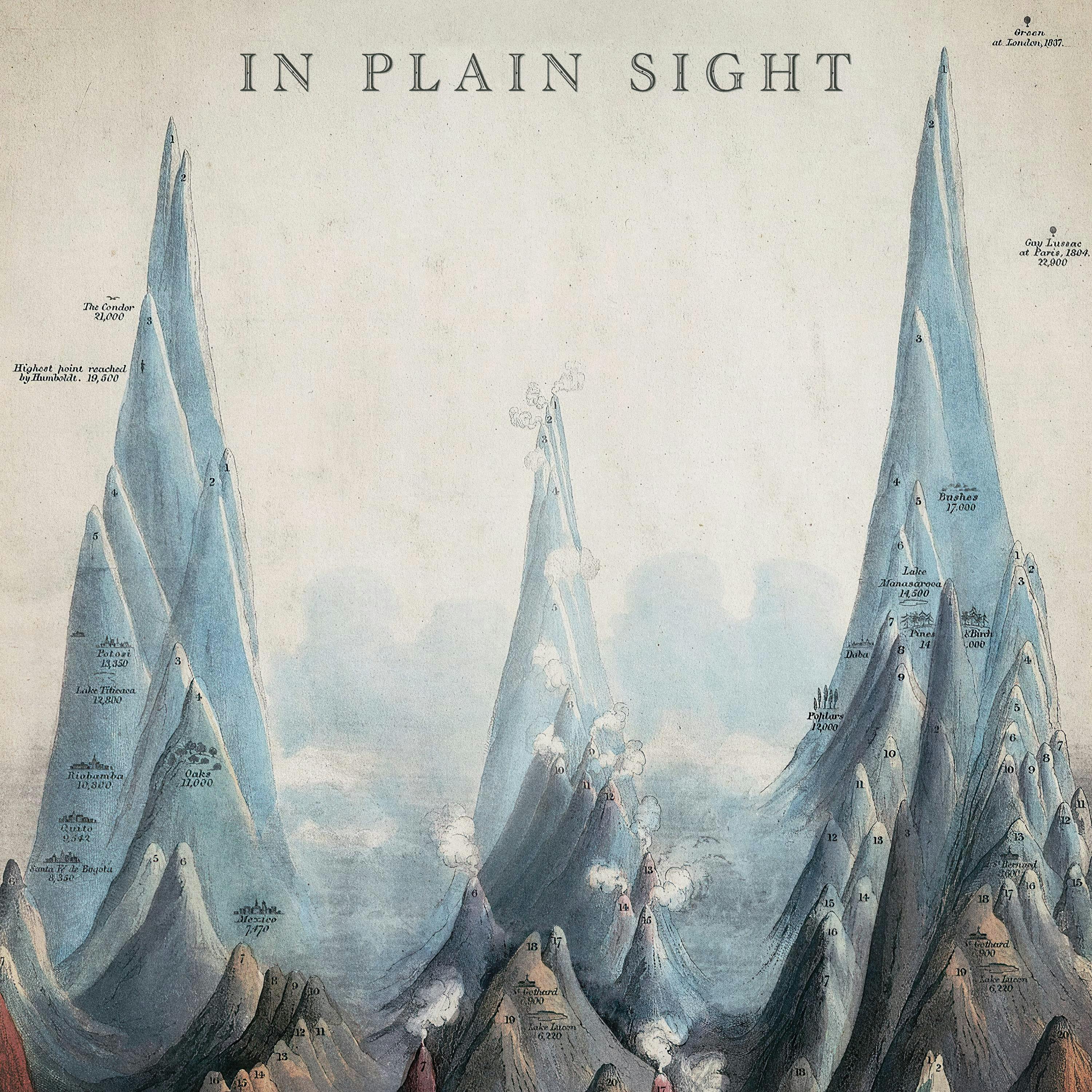 Cover art for Sweeps's song: In Plain Sight