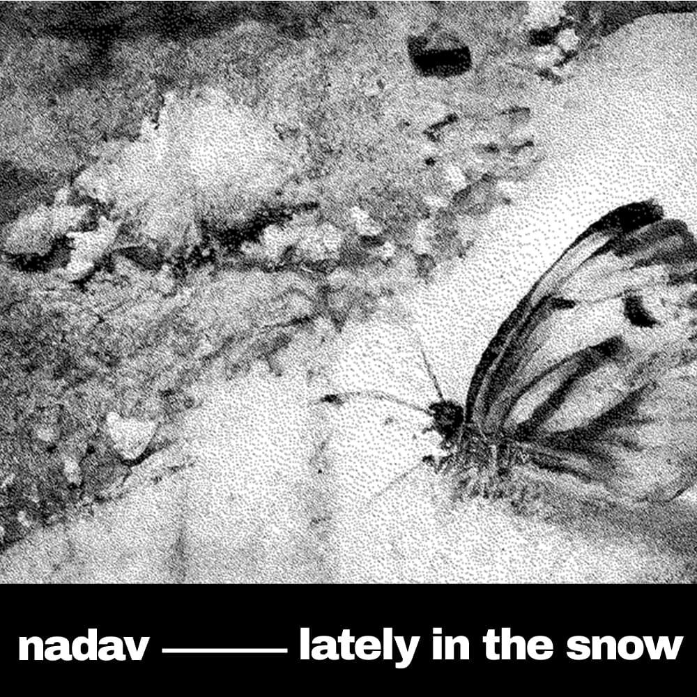Cover art for Nadav's song: #1036 - Lately in the Snow (Say Goodbye) - ORIGINAL DEMO VERSION