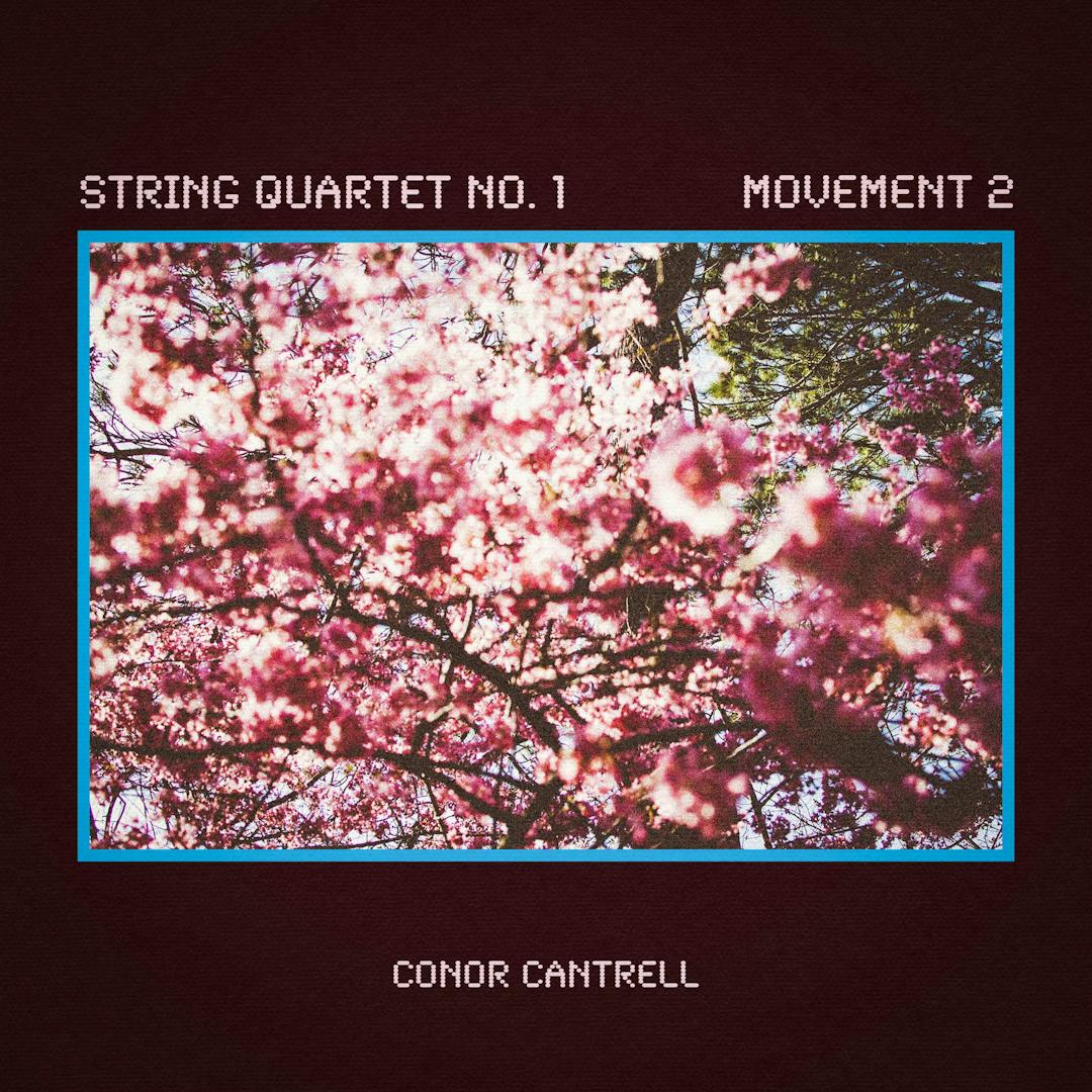 Cover art for Conor Cantrell's song: String Quartet No. 1, Movement 2