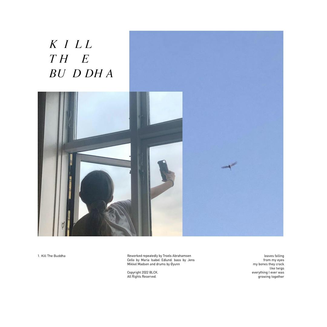 Cover art for Troels Abrahamsen's song: Kill The Buddha