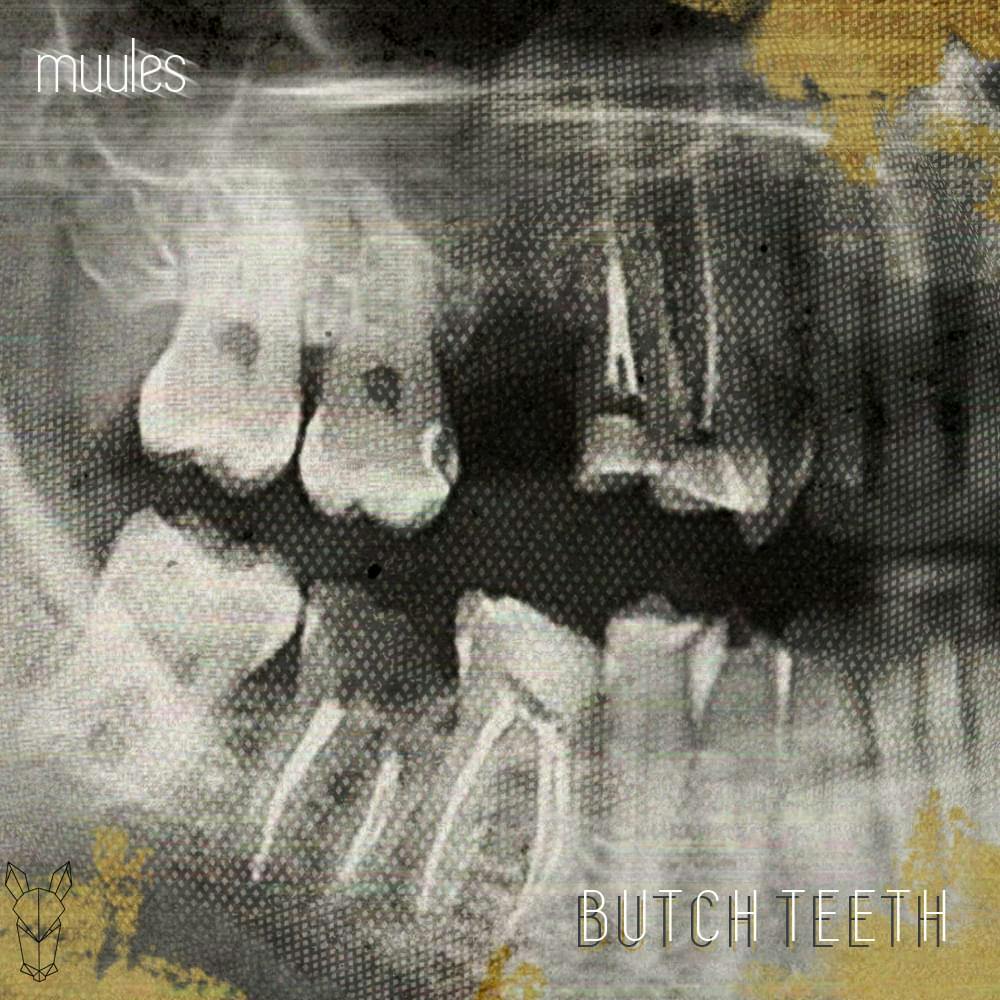 Cover art for Muules's song: Butch Teeth