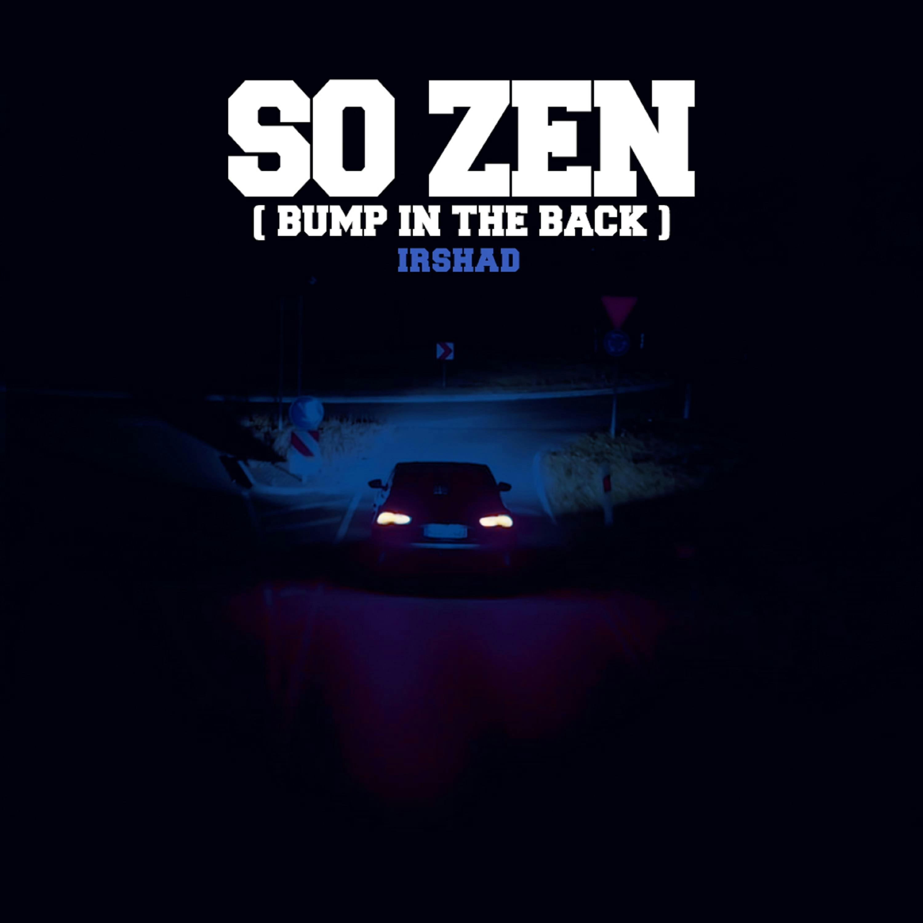 Cover art for 1RSH4D's song: So Zen (Bump In The Back)