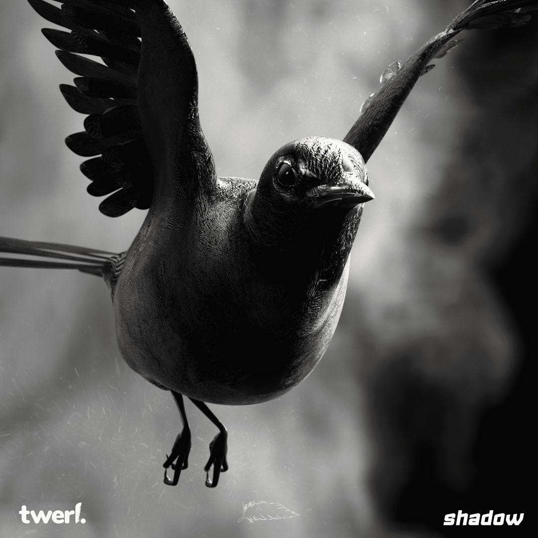 Cover art for TWERL's song: Shadow