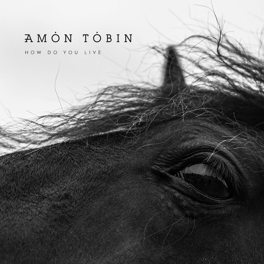 Cover art for Amon Tobin's song: Black as the Sun