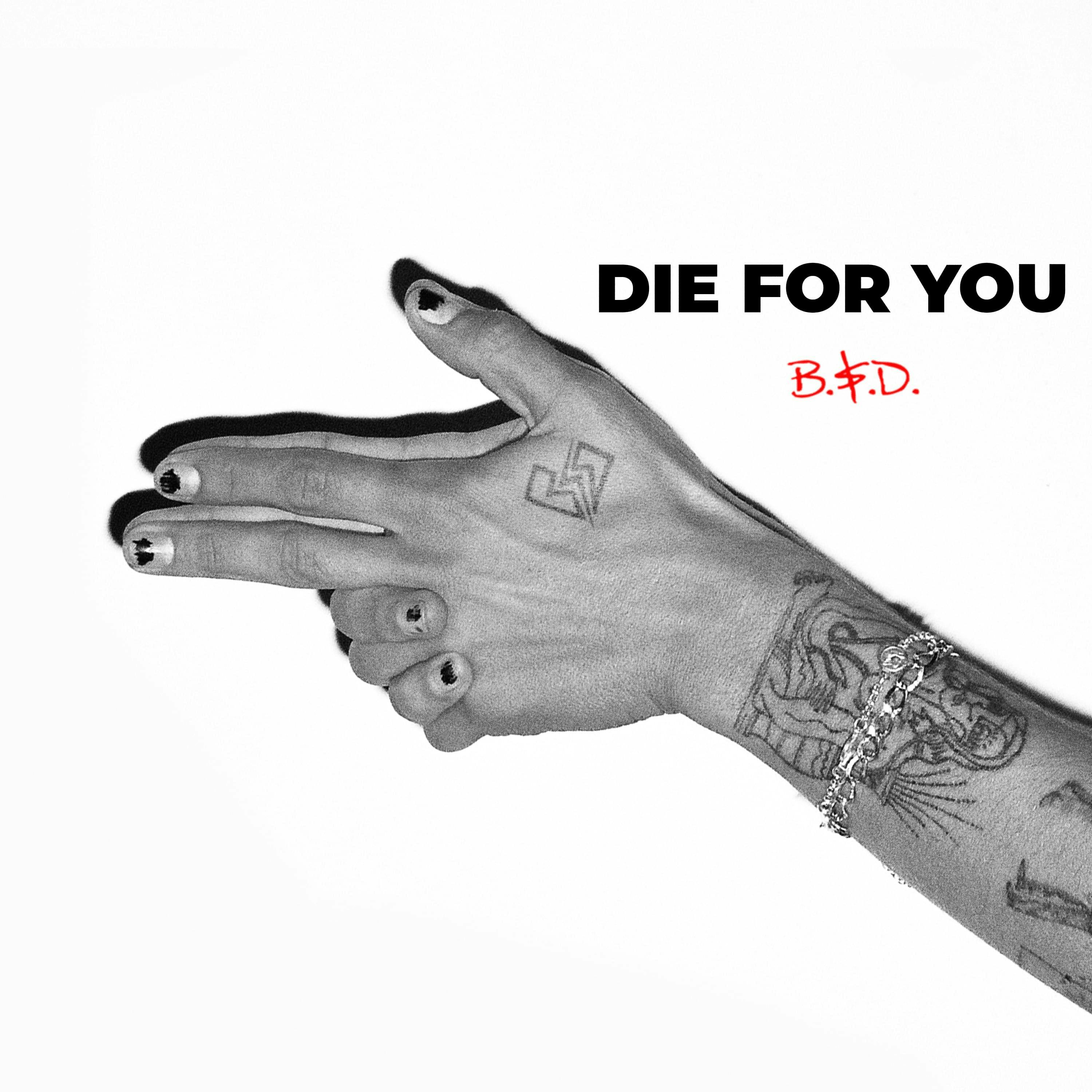Cover art for Beauty School Dropout's song: Die For You