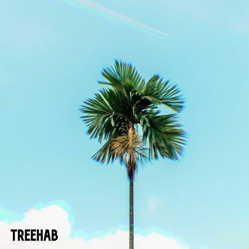 Cover art for Yung.Raj's song: Treehab (ft Kubid.San)