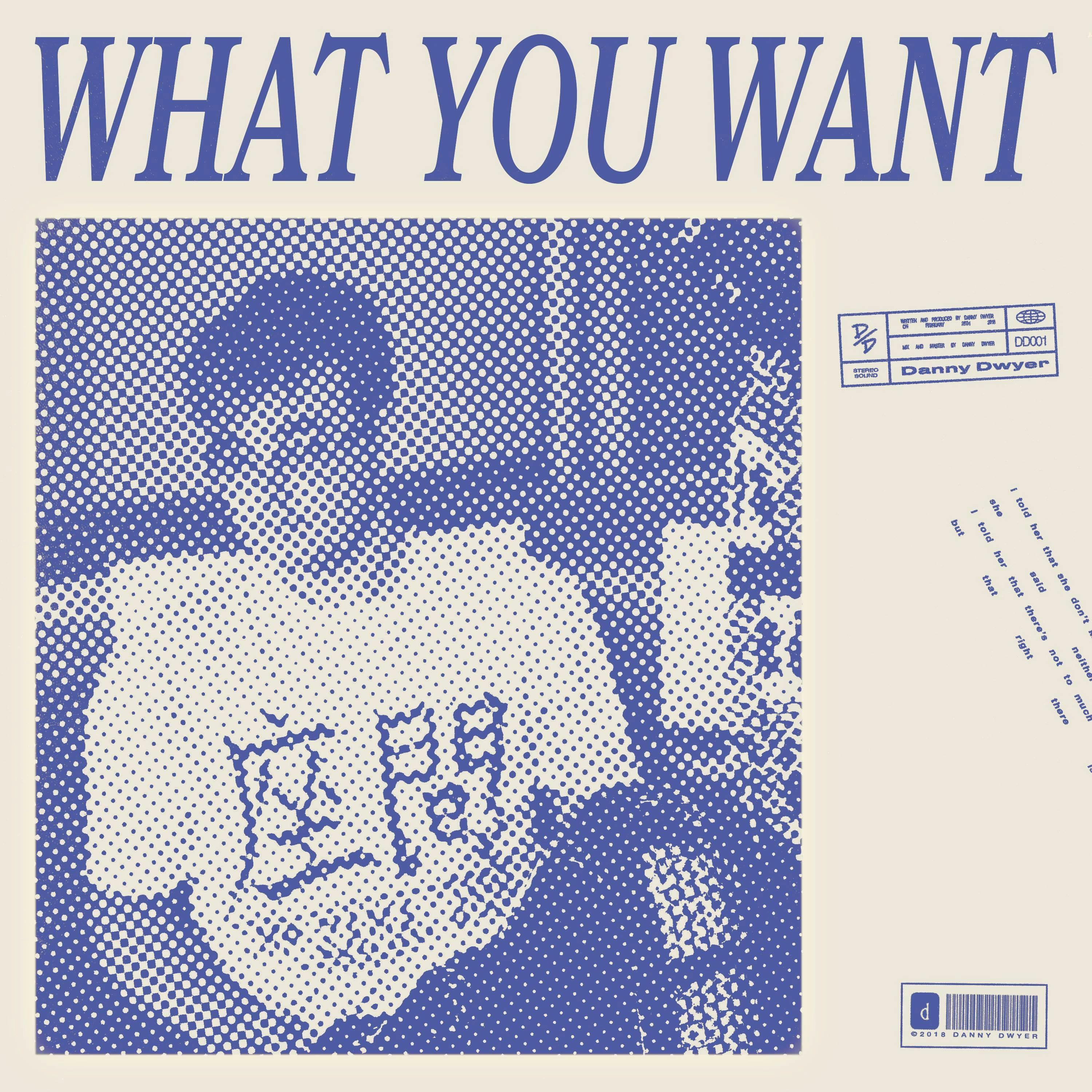 Cover art for Danny Dwyer's song: What You Want